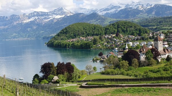 Switzerland Mountains Lake Coast Lake Thun Canton 564061 2560