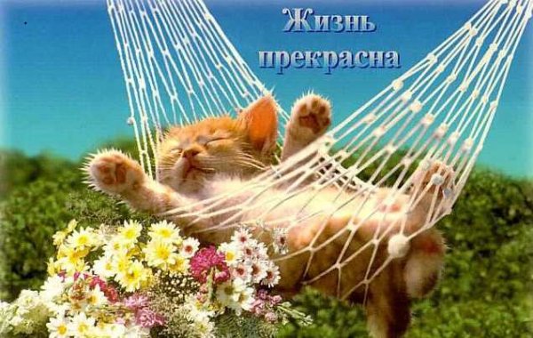 эж