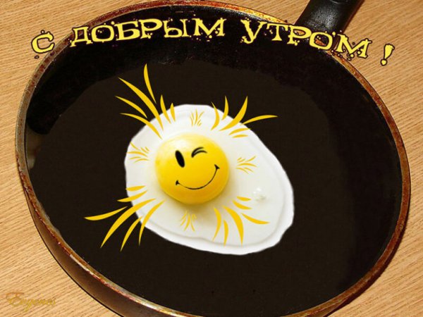 IMG 20190701 463030