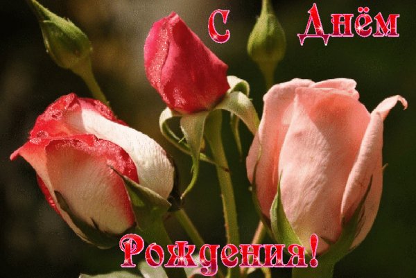 С Днём рождения!