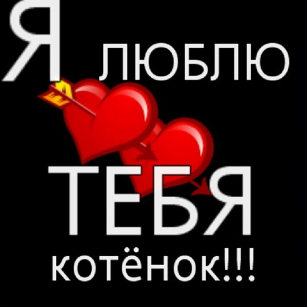 Я люблю тебя котёнок. 5с.