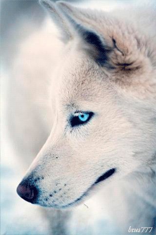 file_47007961