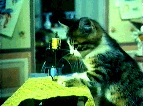 gifs 15