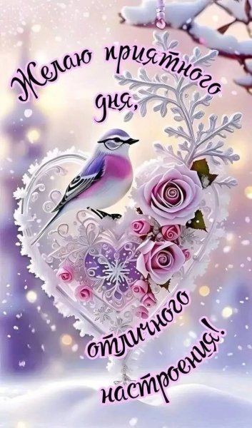 IMG 20251217 141704
