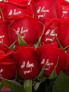 file_12912682