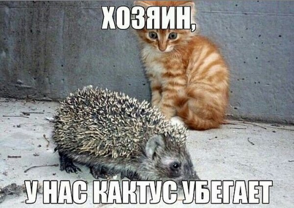x500