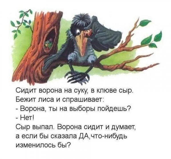 FB IMG 1778007217081