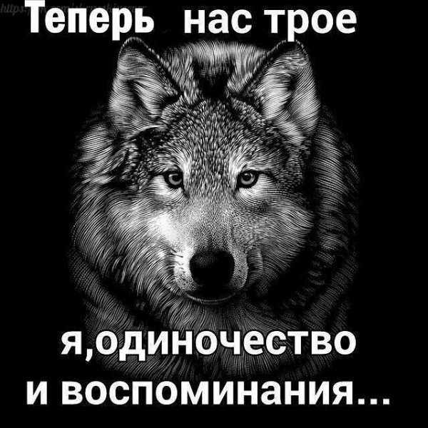 IMG 20210326 173458