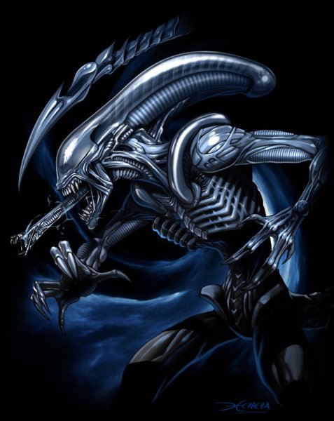alien-xenomorph-art-krasivye-kartinki-1243883