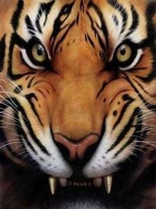 Tiger sounds