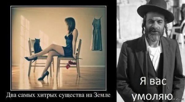 FB IMG 1778702815507