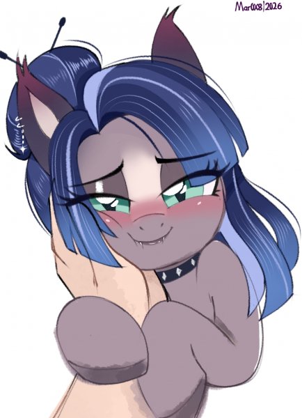 Пони и человек 3788739