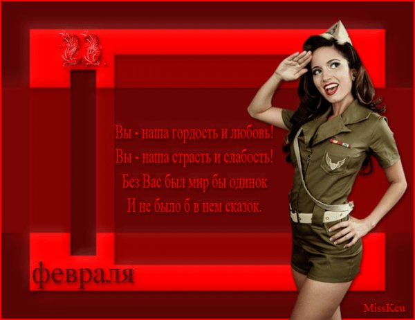 23 fevralya anima
