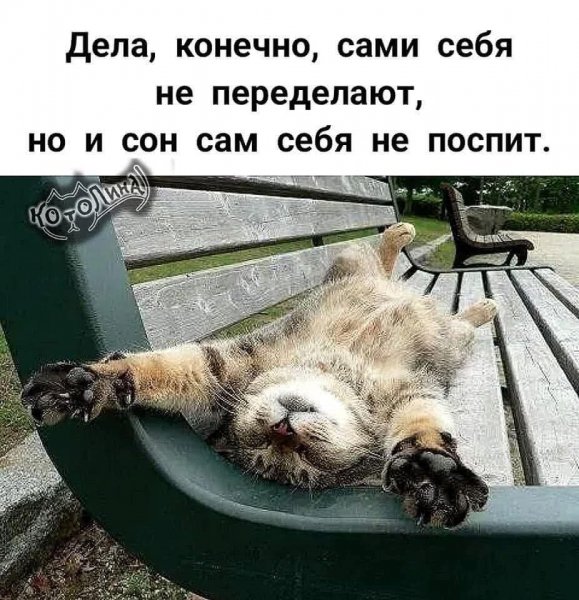 FB IMG 1765287673273