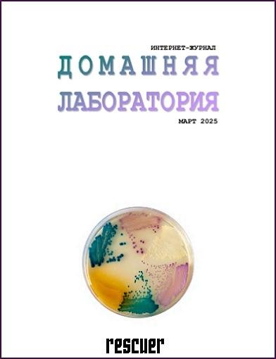 Домашняя Лаборатория 03 (Март) (2025) DjVu