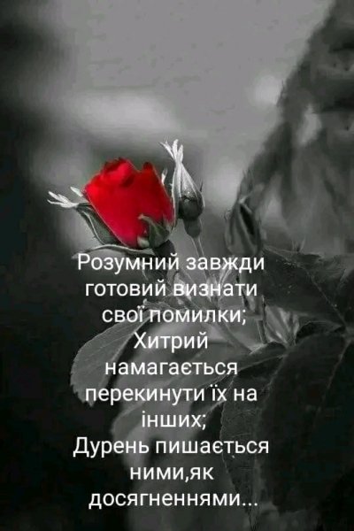 file_95551268