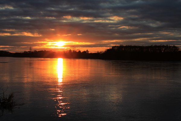 svetik