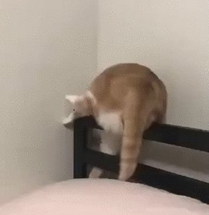 ca9c8e314f1ff9841dcef026f29bc45d6fb207c6199c102d7ffbac47af7f8