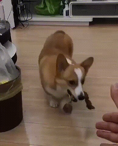 ))
