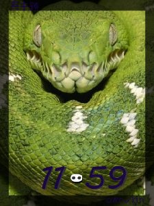 Viper