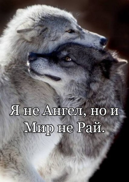 Хорошо сказано