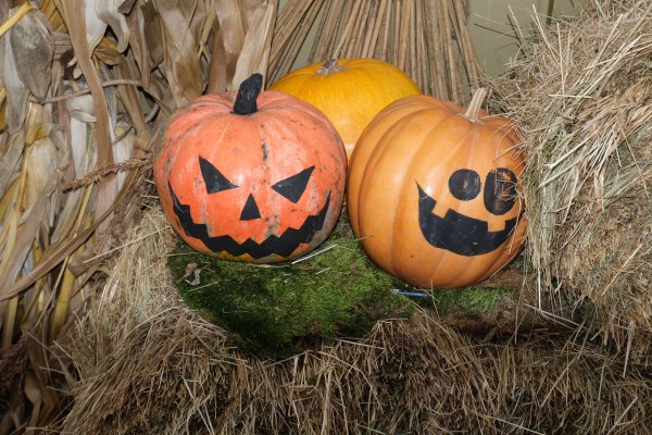 F23A4-6782-49D5-9414-B15B4E3D5CA2