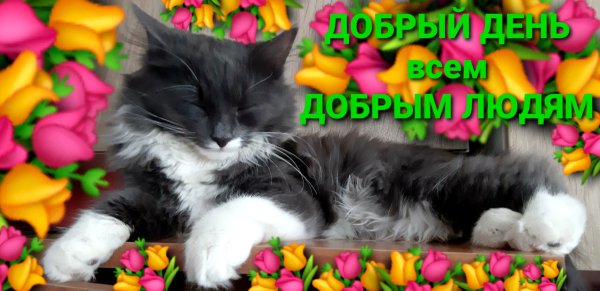 file_90025114