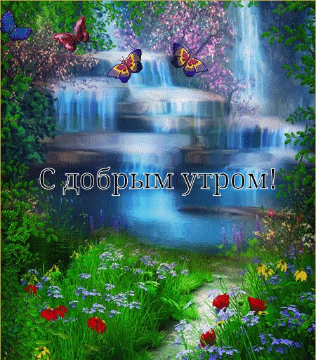 Images 24618