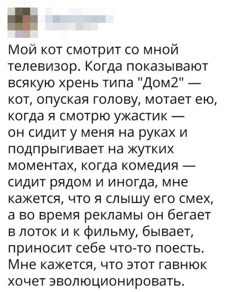 xRdlWN2vN7A