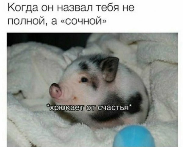 file_102777807