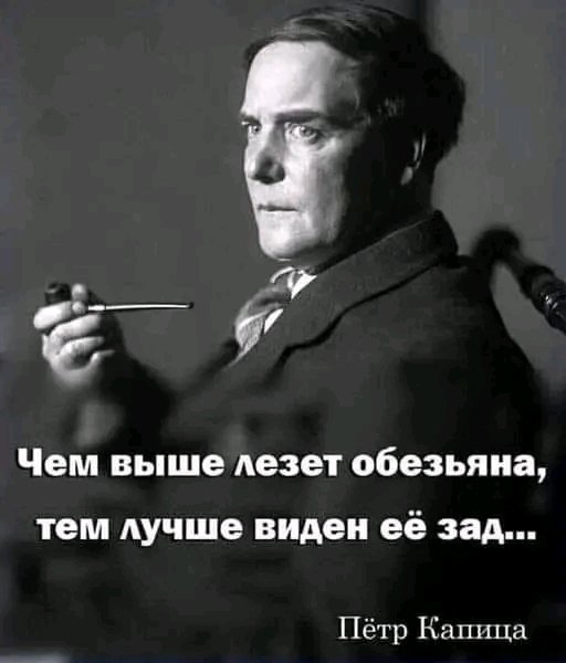 file_95958361