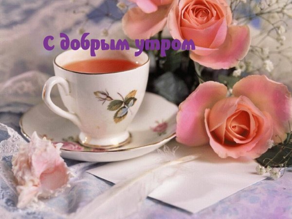 IMG 20181205 910693