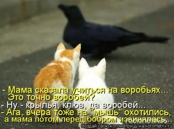 www.radionetplus.ru 14