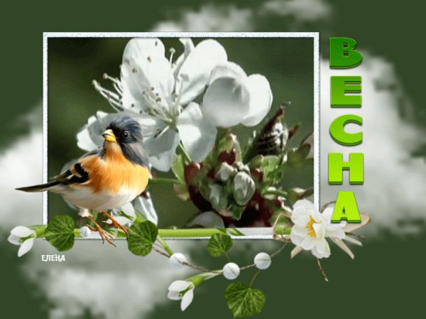 file_76862982