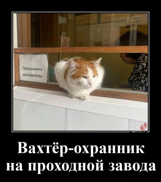 Вахтёр-охранник