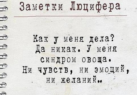 Afe710cd8710c000c0395d610edfa924