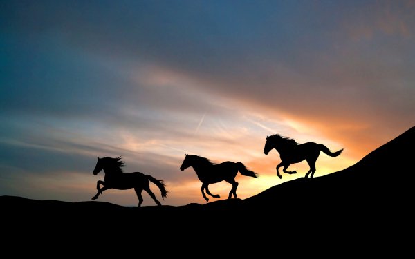 Running Horses