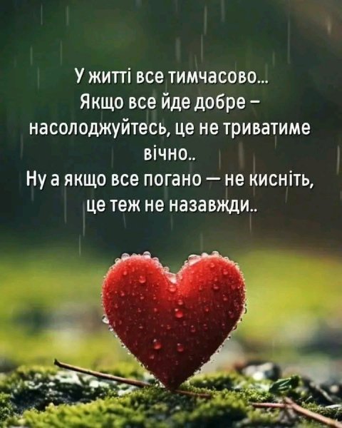 file_100138871