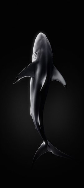 file_99318610