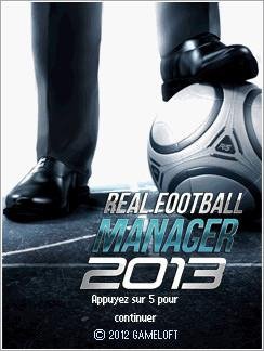 Real Football Manager 2013
