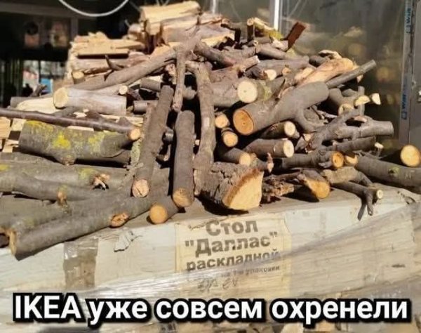 FB IMG 1777226073891