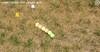 snake touch 217681