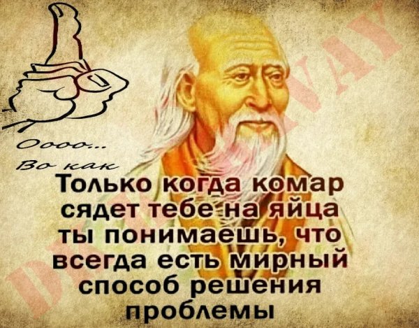 file_102256300