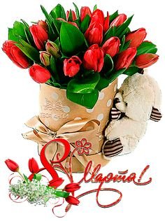 b2a283145188afa126fec7cea2475f71