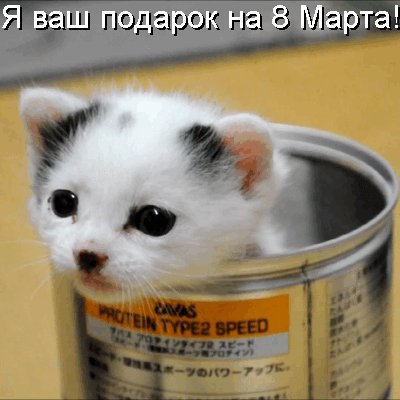 8 марта-милота