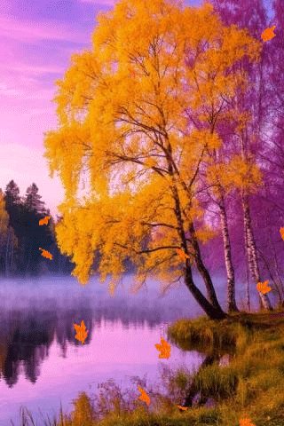 TYuhT7JHjUqVv