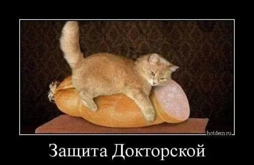 file_97494750