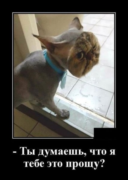Я тебе этого не прощу...