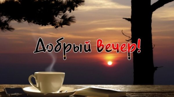 IMG 20190219 162410