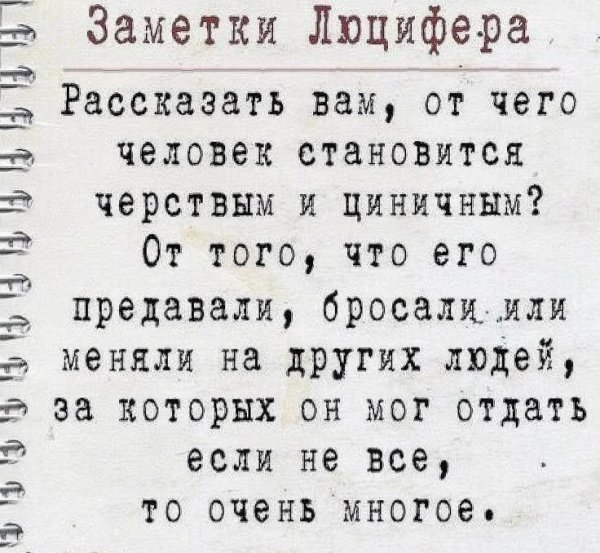 D8c6dbfa085eb959dc42598d77cfb943 (1)